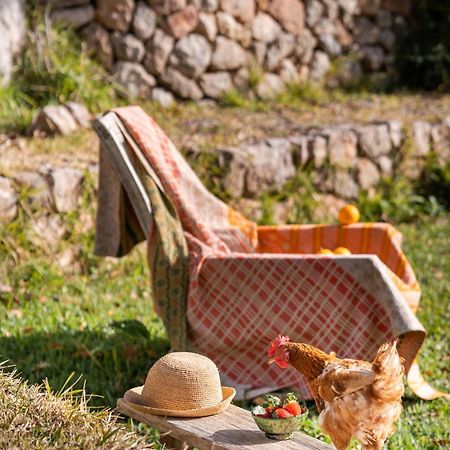 Agroturismo Son Viscos Вальдемосса Екстер'єр фото